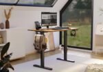 Electric Standing Desk, Adjustable Height Stand up Desk, 48x24 Inches Sit Stand Home Office Desk