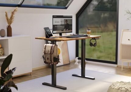 Electric Standing Desk, Adjustable Height Stand up Desk, 48x24 Inches Sit Stand Home Office Desk